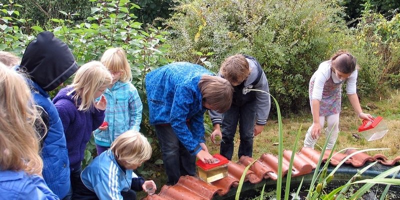 Ruimte voor brede groei in een groene omgeving: De Heijenoordschool