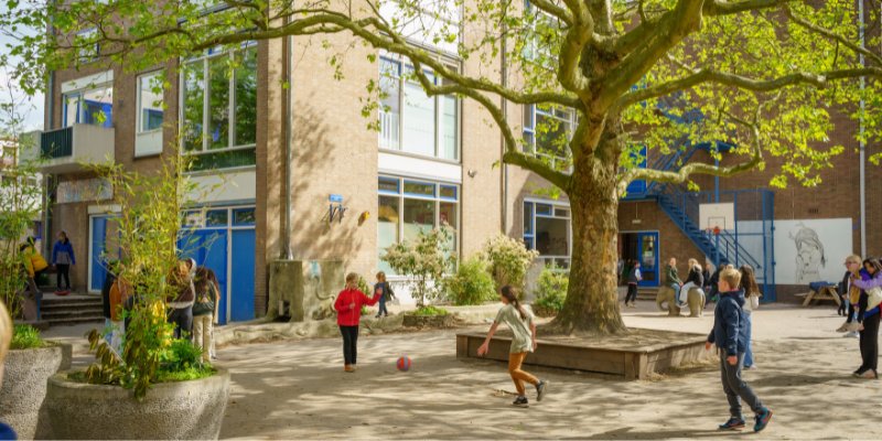 Montessorischool De Binnenstad: Waar aanstekelijke energie en nieuwsgierigheid de weg wijzen